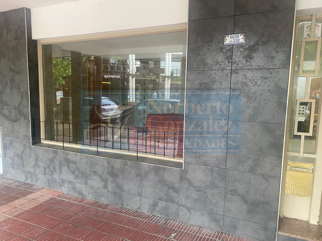 DEPARTAMENTOCIUDAD JARDÍN